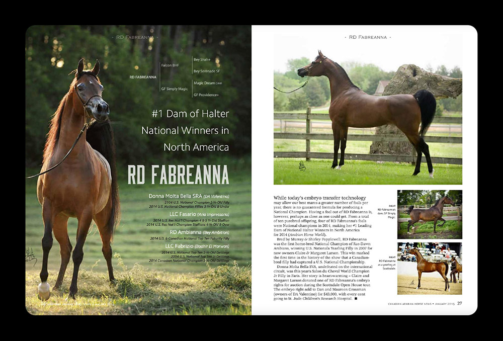 Canadian Arabian Horse News